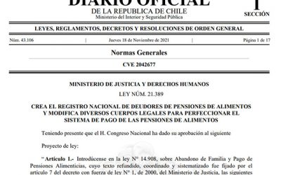 Presidente promulga nueva ley que creará un Registro Nacional de Deudores de Pensiones Alimenticias Ley 21.389